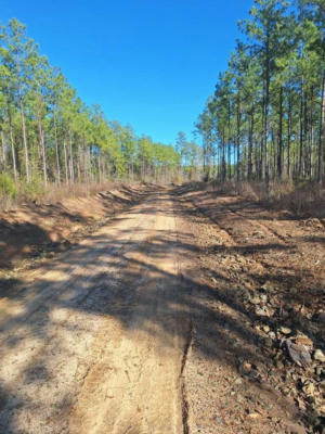 TBD COUNTY ROAD 1415, BURKEVILLE, TX 75932 - Image 1