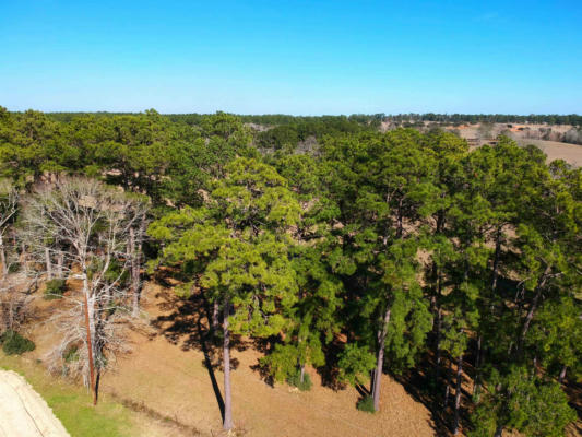 TBD LAKELAND RANCH LOT 378, HILLISTER, TX 77624, photo 3 of 13