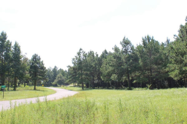 LOT 24, 2.12 AC CYPRESS HILLS SUBDIVISION, JASPER, TX 75951, photo 5 of 25