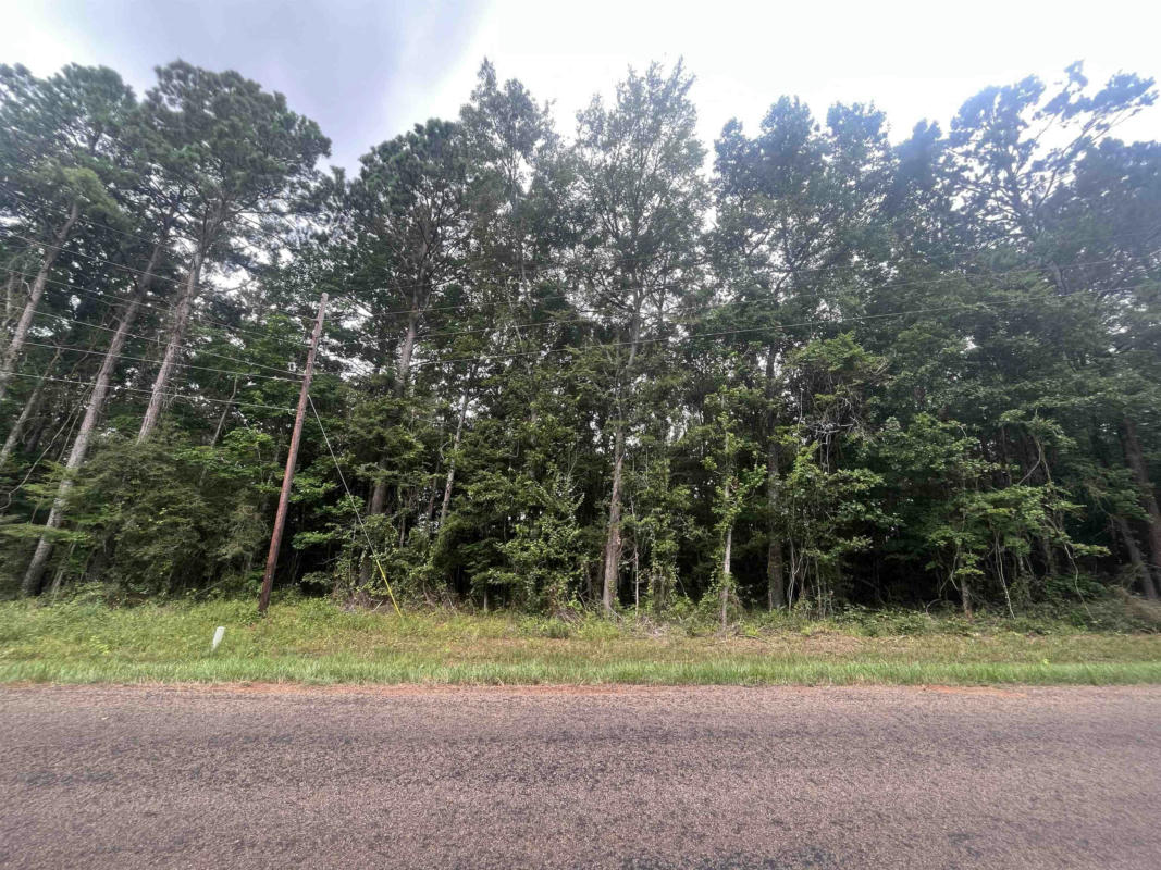 TRACT 57 FM RD 1751, SAN AUGUSTINE, TX 75972, photo 1 of 11