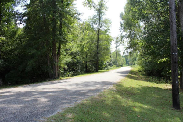 LOT 24, 2.12 AC CYPRESS HILLS SUBDIVISION, JASPER, TX 75951, photo 3 of 25