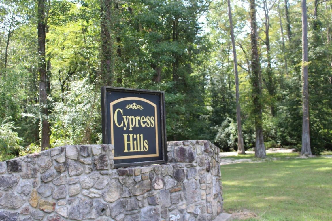 LOT 24, 2.12 AC CYPRESS HILLS SUBDIVISION, JASPER, TX 75951, photo 1 of 25