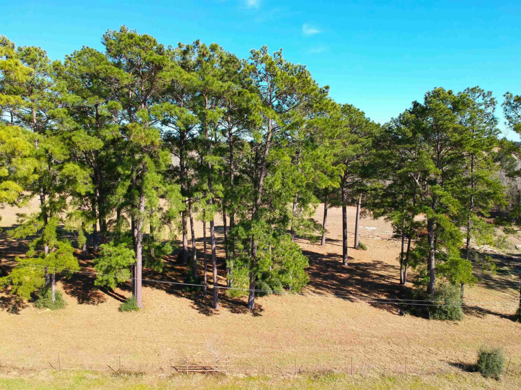 TBD LAKELAND RANCH LOT 378, HILLISTER, TX 77624, photo 1 of 13