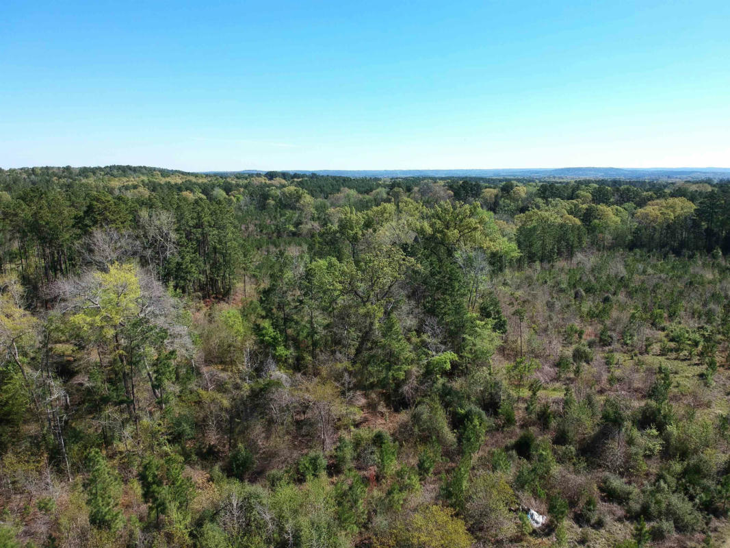 TBD COUNTY ROAD 2109, RUSK, TX 75785, photo 1 of 24