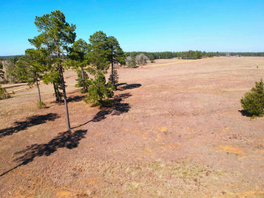 TBD LAKELAND RANCH LOT 378, HILLISTER, TX 77624, photo 5 of 13