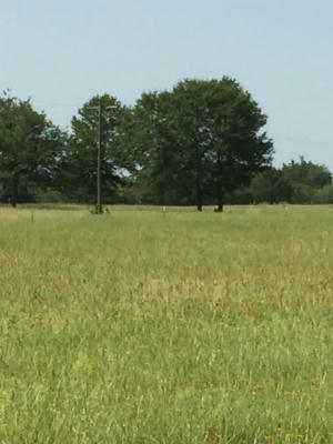 TDB LCR 424, MEXIA, TX 76667, photo 2 of 4