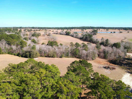 TBD LAKELAND RANCH LOT 378, HILLISTER, TX 77624, photo 4 of 13