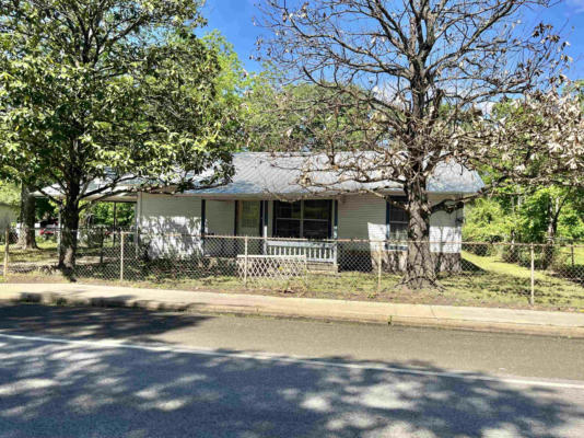 203 S TEMPLE AVE, PINELAND, TX 75968 - Image 1