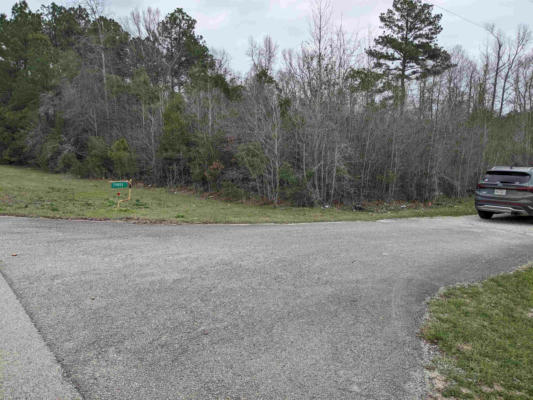 14933 STATE HIGHWAY 87 S, KIRBYVILLE, TX 75956 - Image 1