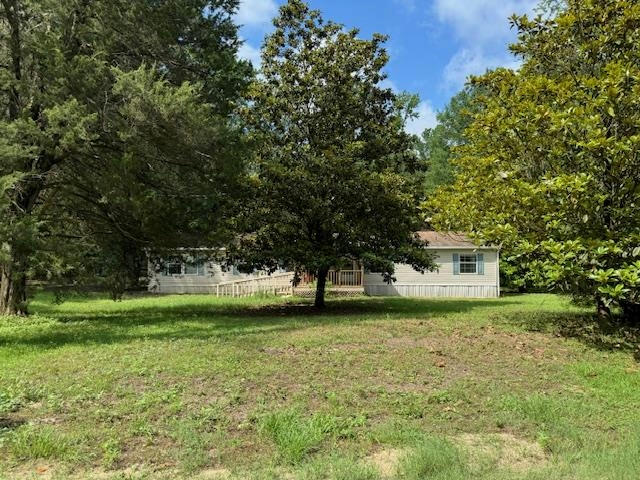 2249 COUNTY ROAD 2110, BURKEVILLE, TX 75932, photo 1 of 25