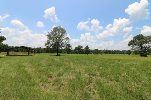 TBD CO. RD. 3063, KIRBYVILLE, TX 75956 - Image 1
