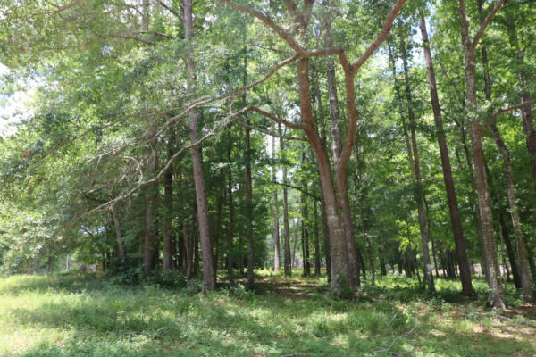 LOT 104 HUNTERWOOD DR., JASPER, TX 75951, photo 2 of 8