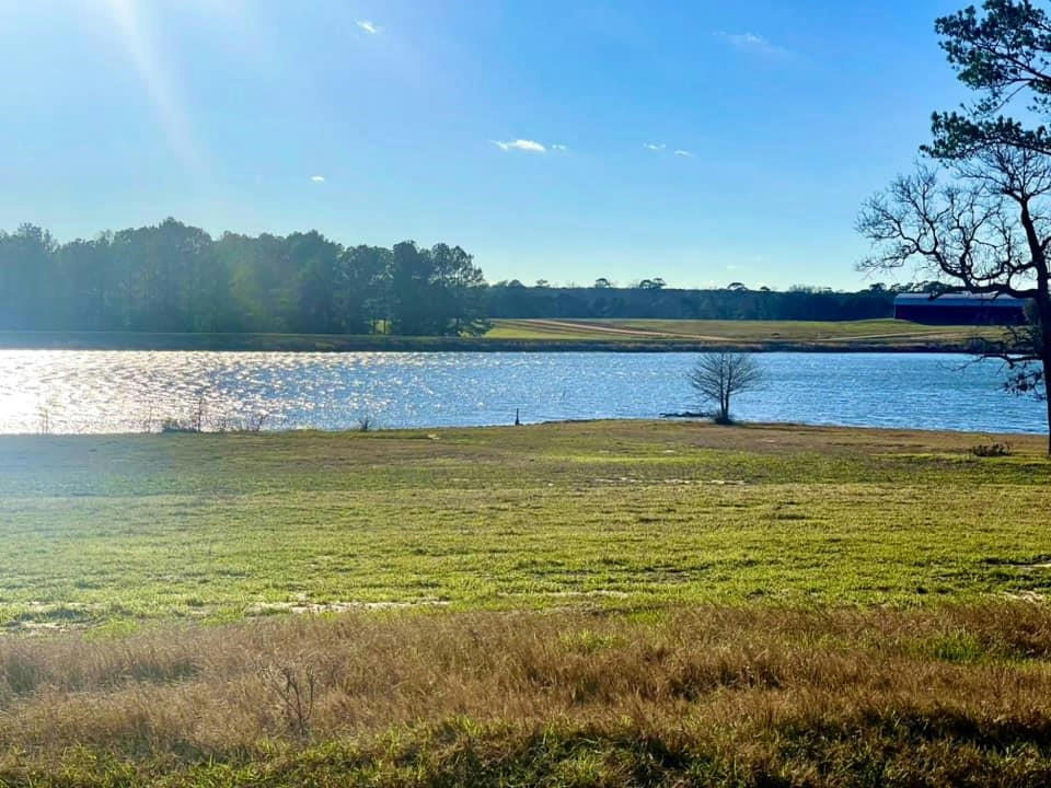 TBD LAKELAND RANCH LOT 29, HILLISTER, TX 77624, photo 1 of 21